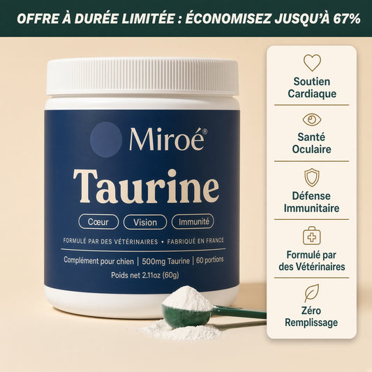 Miroé Taurine