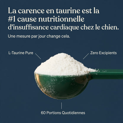 Miroé Taurine